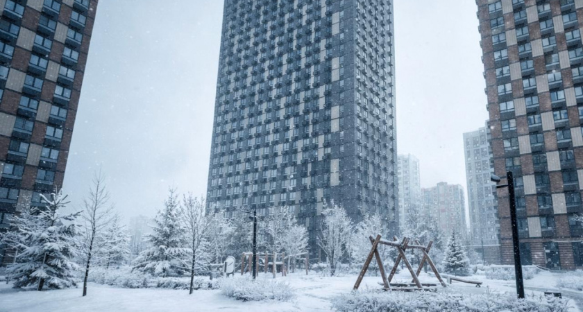 Почему в новостройках массово заводятся насекомые и что с этим делать