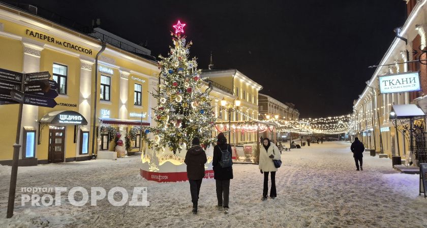 Известно, какая погода будет в новогоднюю ночь в Кирове 