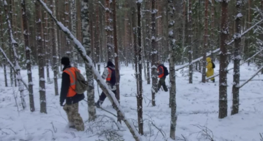 В Кирове ищут 71-летнюю пенсионерку в черном берете
