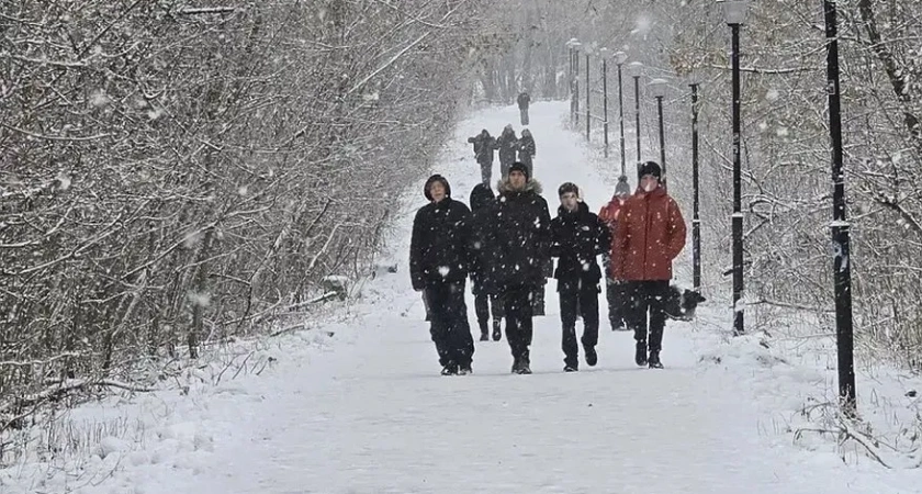 Стало известно, какая погода ждет кировчан 30 декабря