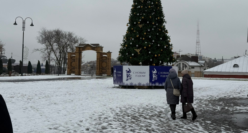 Стали известны подробности перерасчета пенсий в России на 2026 год