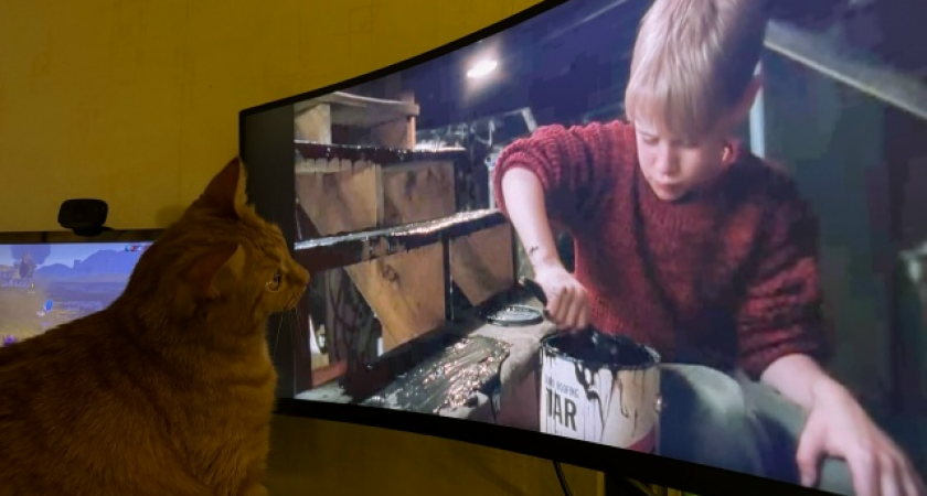 Какие фильмы кировчане могут посмотреть в 2026 году?