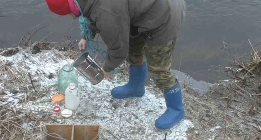 На предприятии в Кировской области выявили слив молочных отходов в лес