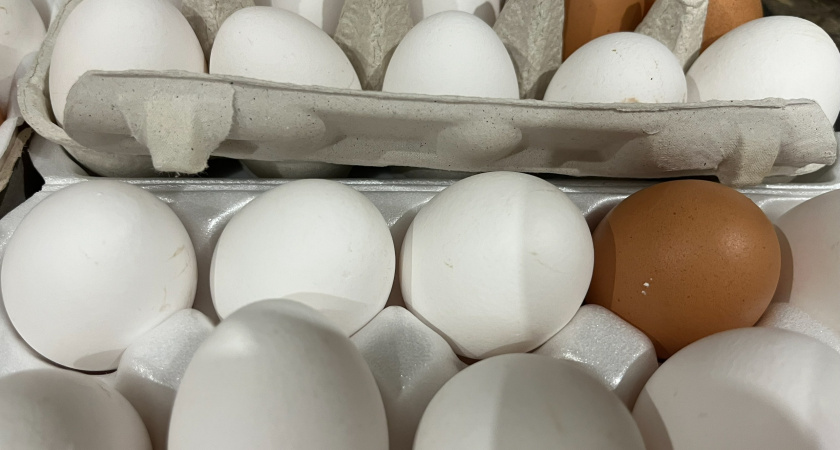 Яйца для себя хитрые продавцы выбирают только так: запоминайте 2 лайфхака