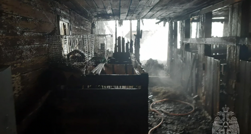 Известна предварительная причина пожара на экоферме под Котельничем