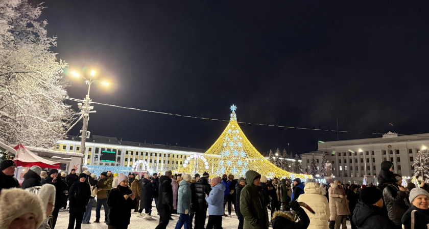 Снегопад и слабый мороз: синоптики дали прогноз на 8 января для Кирова