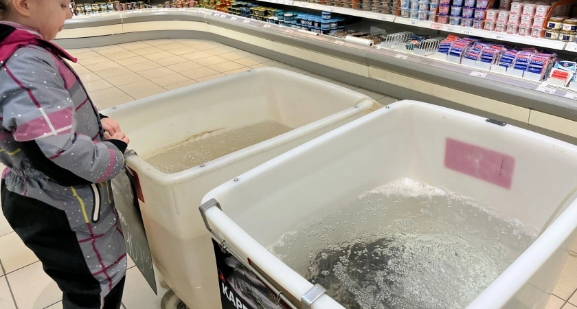 Названа самая полезная для человека рыба на зиму - ешьте дважды в неделю: богата Омега-3, селеном, фосфором и хороша на вкус