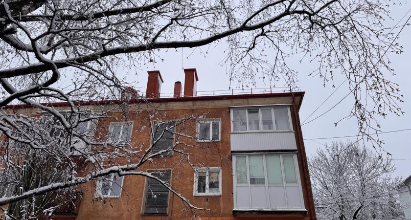 Ставлю на подоконник 1 вещь и всю зиму спокойна: в доме тепло даже в -40°C и аромат сибирского леса