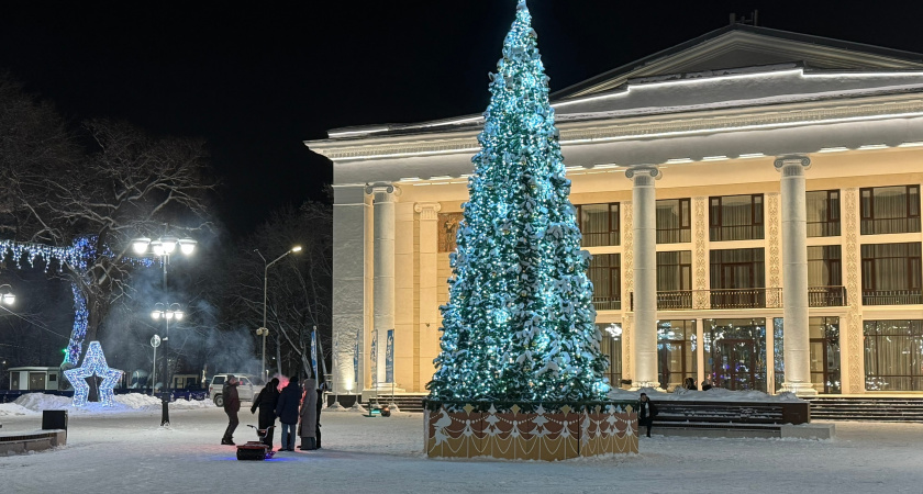 В Кирове на демонтаж новогодних елей выделили 275 тысяч рублей