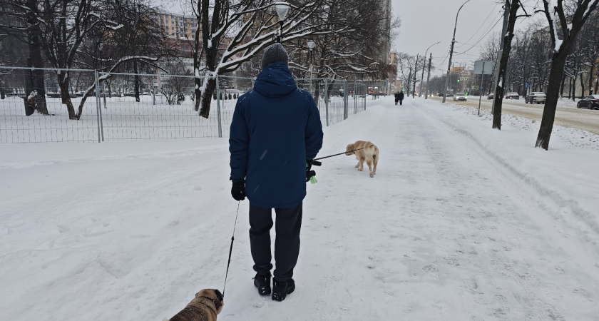Концертный зал, метро или международный терминал: что жители Кирова хотели бы видеть в родном городе? 