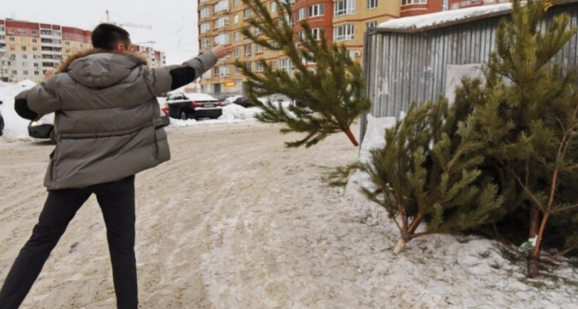 Кировчанам рассказали, как правильно утилизировать новогоднюю елку