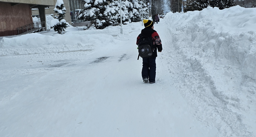 Каким по счёту родился, так и сложится жизнь: как очередность влияет на судьбу – психолог Адлер дал точный ответ