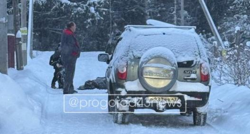 "Лежал на снегу и не двигался": утром в Кирове немецкая овчарка искусала мужчину 