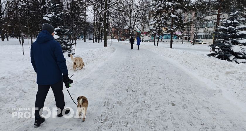 Облачно и морозно: какой будет погода 25 января в Кирове 