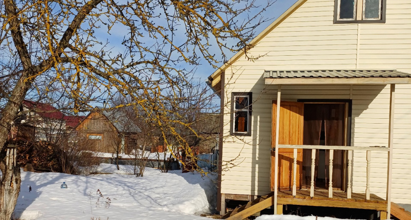 Сирень в пролёте: этот кустарник радует цветением с лета до зимы и превращает сад в пушистое облачко круглый год