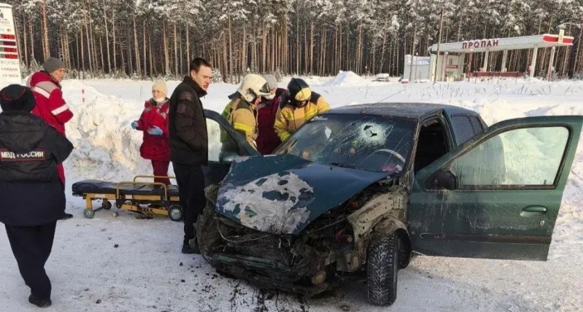 В ДТП с фурой под Советском травмы получили 19-летний юноша и 18-летняя девушка