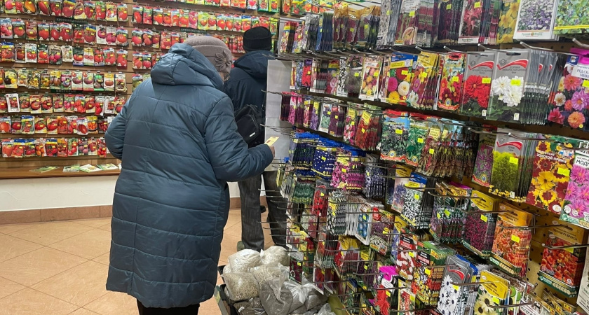 Мой "помидорный итог" 2025 года: 7 сортов очень понравились, но в новом сезоне ни за что не посажу - честный отзыв