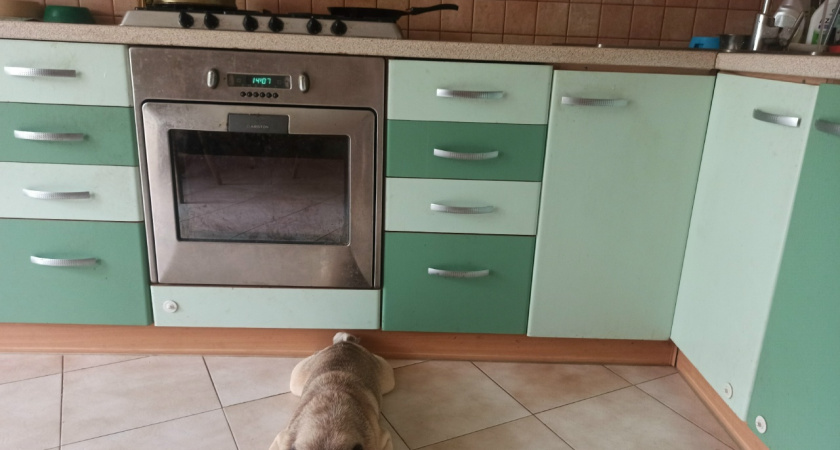 В Кирове собственникам аварийного жилья дадут новые квартиры