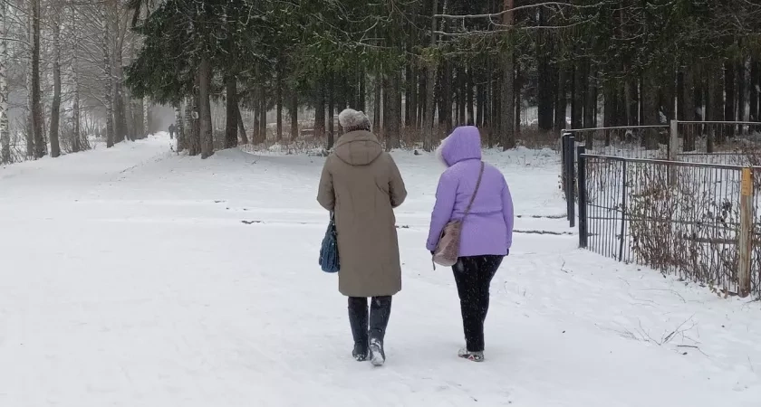 Самозанятые жители Кировской области смогут получить оплачиваемые больничные