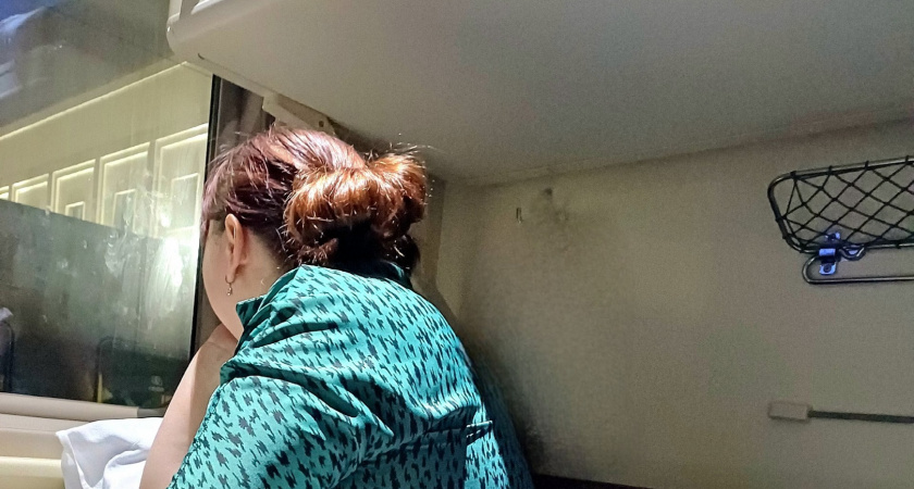 Теперь это запрещено в поездах - как будут путешествовать пассажиры РЖД в новом сезоне-2026