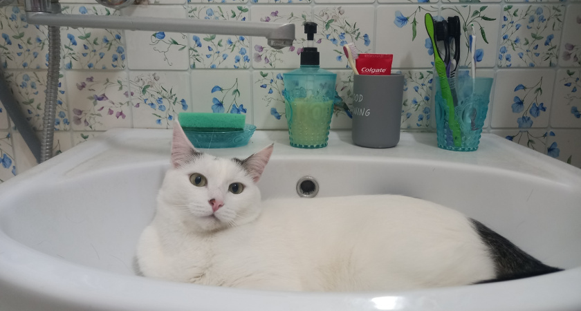 Прокуратура помогла жителям Подосиновца не остаться без воды в своих домах