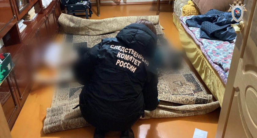 Кировчанка, спрятавшая в шкаф убитую ей родственницу, получила 7,5 года колонии