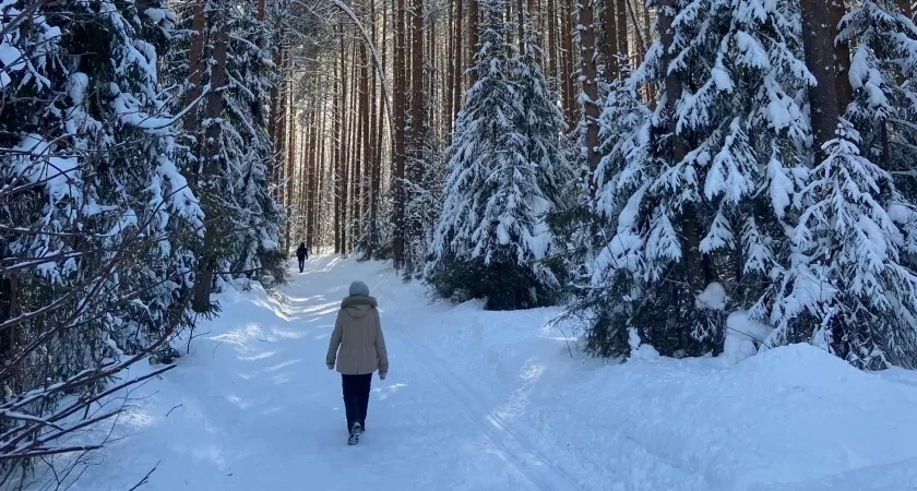В Кировскую область ввезли 436 тонн солода из Беларуси и Московской области