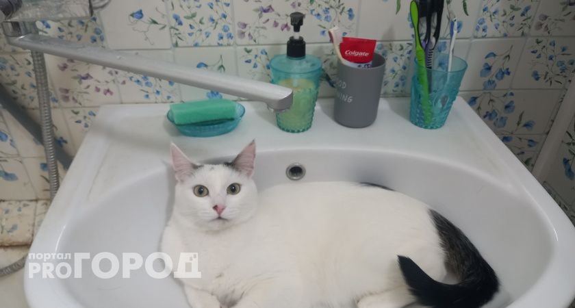 Более тысячи жителей Кирово-Чепецка остались без холодной воды из-за аварии на водоводе