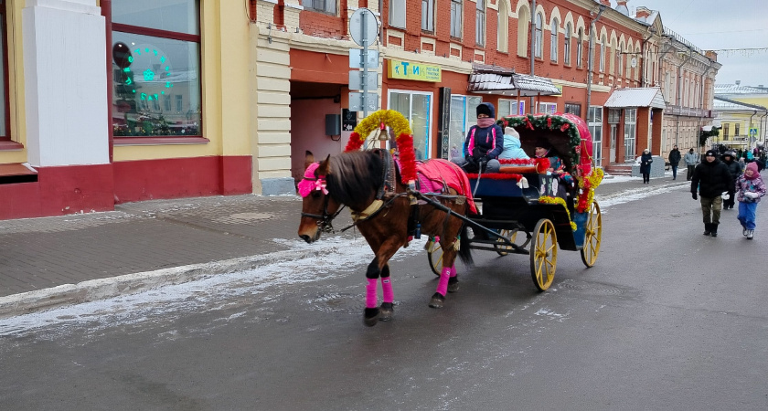 Лошадь осчастливит: астролог назвал три знака зодиака, которым Огненная кобыла подарит шикарный 2026 год