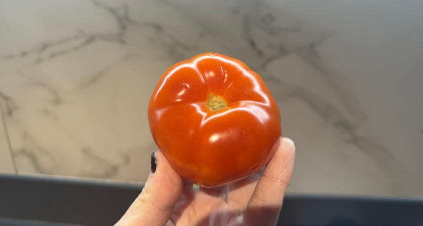 Нашел "неубиваемый" сорт томата: прет как на дрожжах - посоветовал друг-агроном