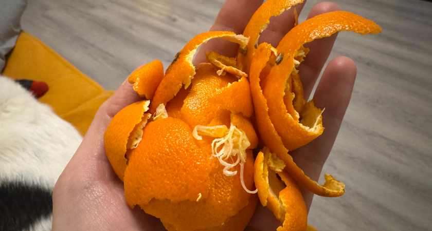 В Европе мандариновые корки стоят дороже самого фрукта, а мы выкидываем: здорово помогает в хозяйстве