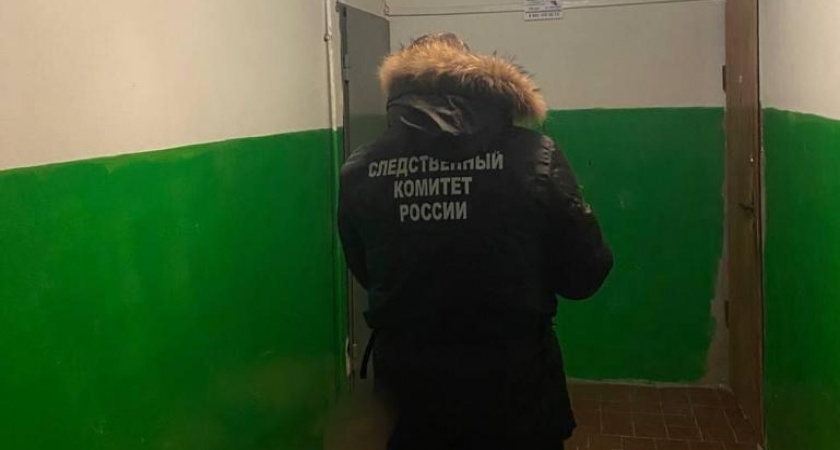 Жительница Котельнича спасла соседа, получившего удар ножом в грудь