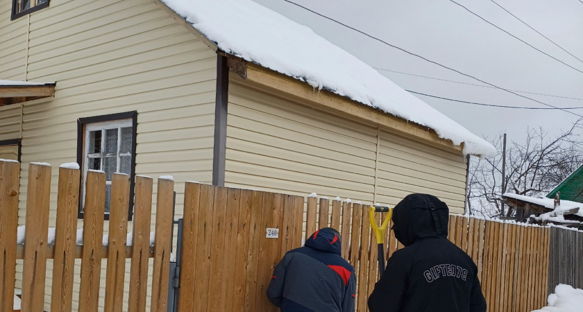 Натуральный утеплитель вместо минваты и пенопласта: как утеплить дом без синтетики и плесени