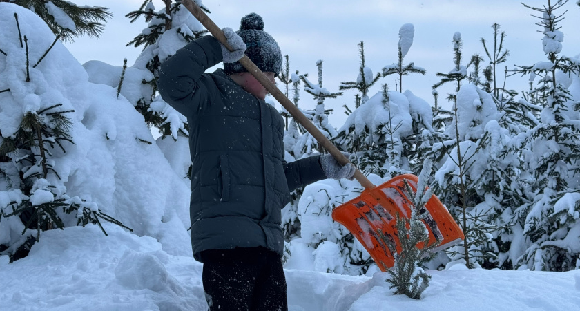 Умные хозяева снег лопатой давно не гребут и спину не надрывают - есть способ круче