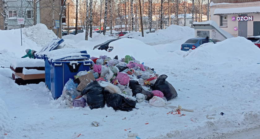 "Проезд очищен, а мусоровоза все нет": горожане делятся снимками переполненных площадок с отходами
