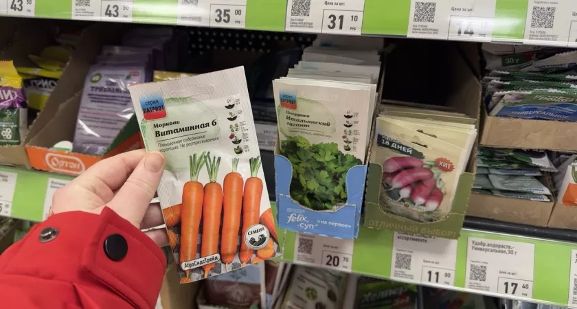 Пока коллекционеры дерутся, я покупаю тут: где реально выгоднее брать семена — сравнение трех источников