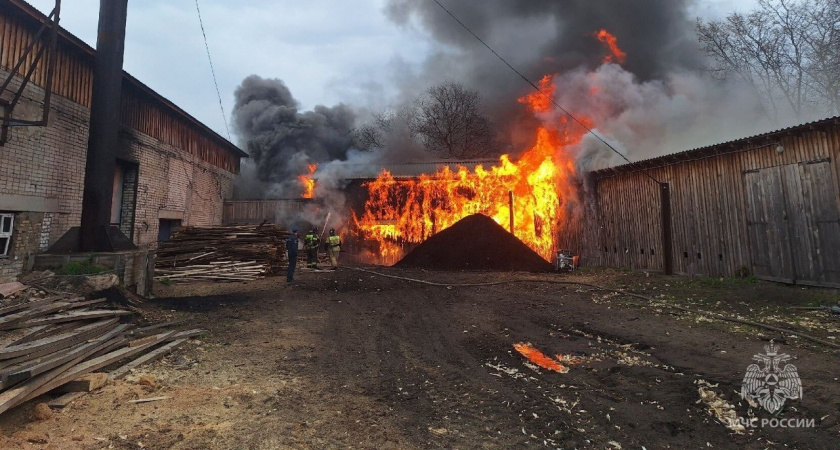 Суд в Орлове вынес приговор кочегару, спалившему имущество на 5 миллионов рублей