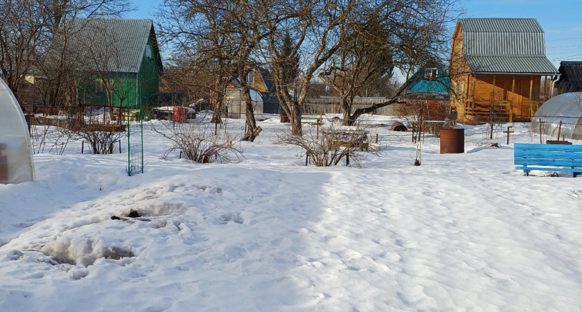 Круче навоза и компоста: разбрасываем по снегу — земля весной становится как пух