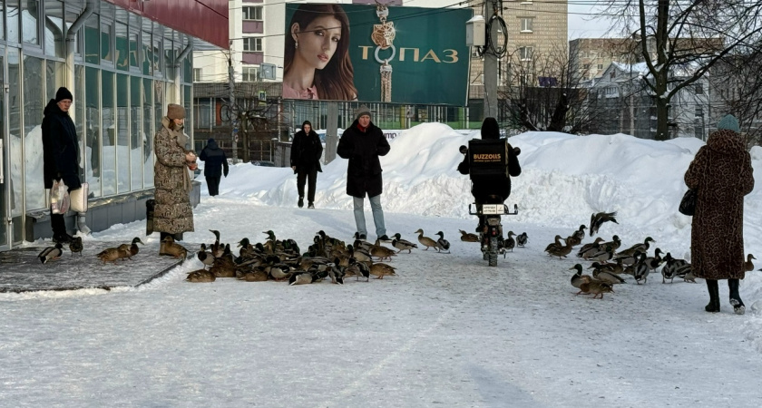 Стало известно, какая погода ждет кировчан 24 февраля