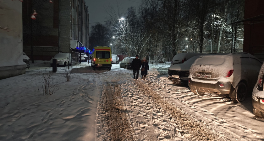 На голову упала верхушка: лесоруб трагически погиб в Кировской области