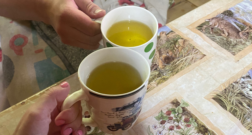 Только такой чай надо пить каждый день: укрепляет иммунитет и делает ум острее - настоящий природный элексир