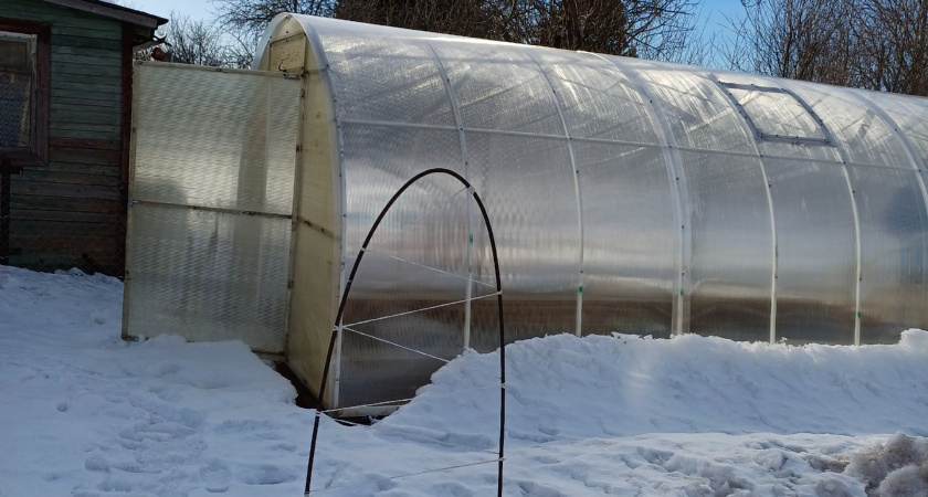 В конце февраля делаю это в теплице: один стакан «порошка» на грядку — и почва за месяц оздоравливается сама