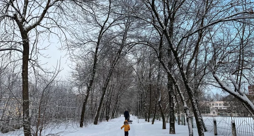 Кировская область увеличила экспорт палочек для мороженого в Китай