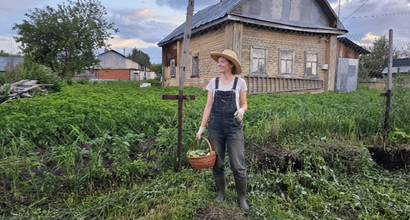 Сажаю картошку только в 1 место - растет как на дрожжах: рассказываю, где самая урожайная земля