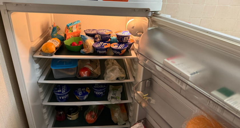 Режимы у холодильника никто не переключает - и зря: вот почему летом и зимой нужны разные настройки