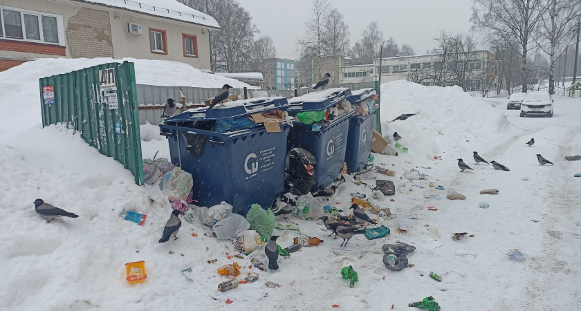 Небольшой мусоровоз доставят в Киров для решения проблемы переполненных баков