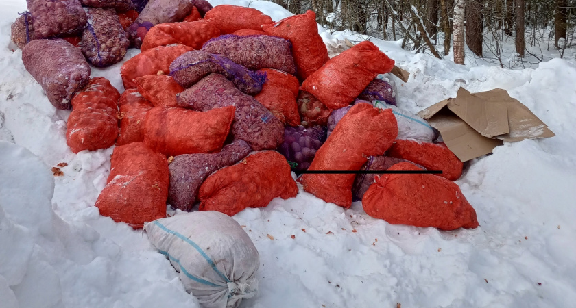 Мешки с гнилым картофелем: в Бахте проверяют сигнал о нелегальной свалке