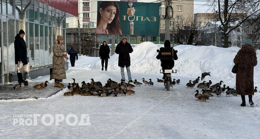 Скандал с руководителем школы танцев, неприятная поездка в автобусе и ДТП с двумя фурами: что читали кировчане на минувшей неделе