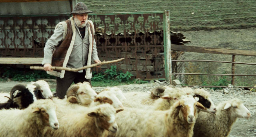 "Гордость" и любовь в Северной Осетии — 5 марта на Wink премьера комедийного сериала с национальным колоритом