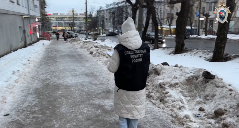 СК России завел дело по факту гибели женщины от схода глыбы снега под Нолинском